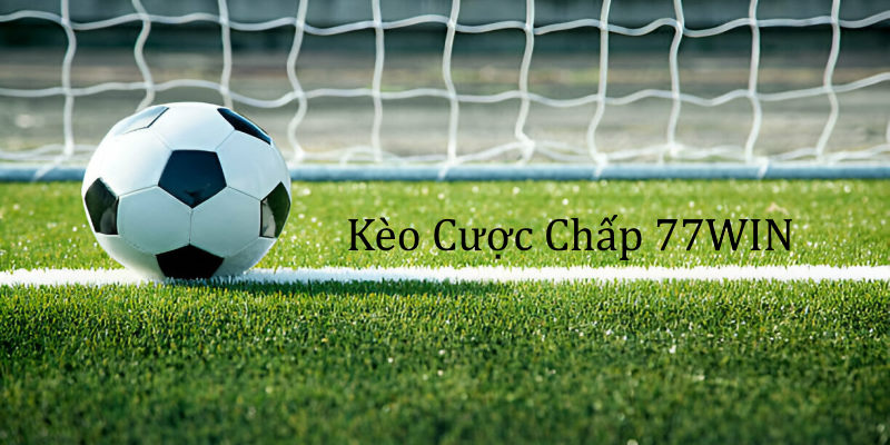 Hiểu thông tin cơ bản về kèo cược chấp 77WIN